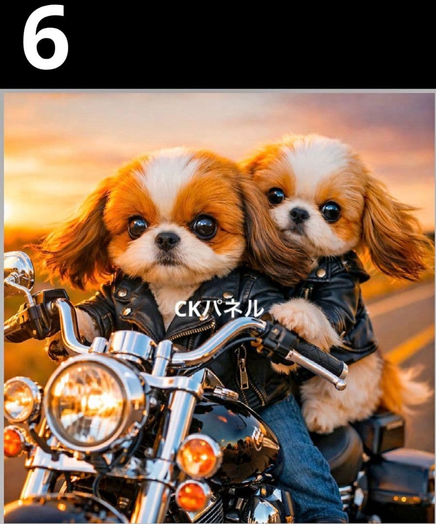 オーダーページ　ハンカチ51 バイクわんこ柄　ハンドメイド3/17